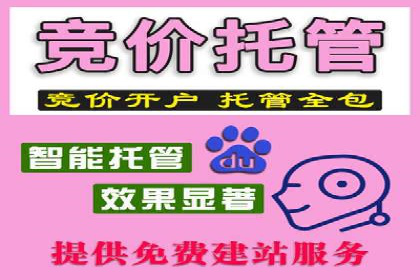 SEO与SEM实战案例：提升品牌知名度